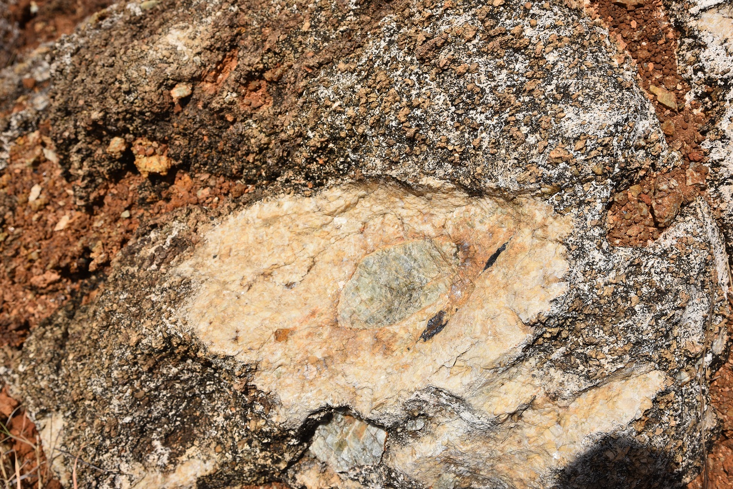 Primary Apatite